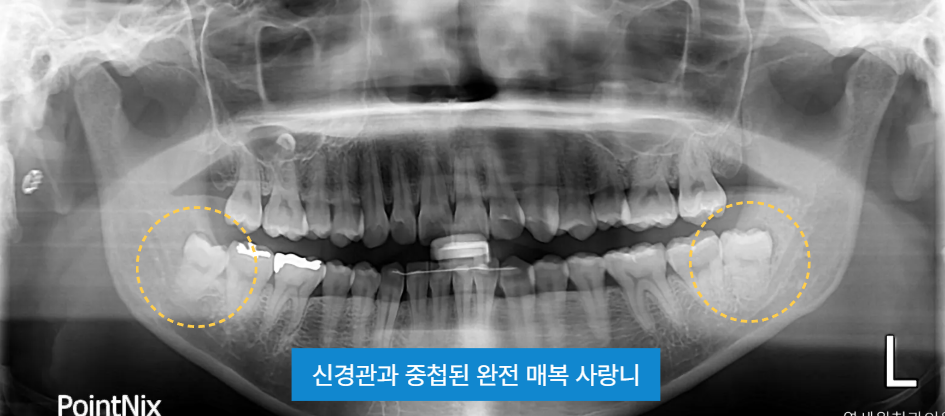 스크린샷 2026 09 29 035009