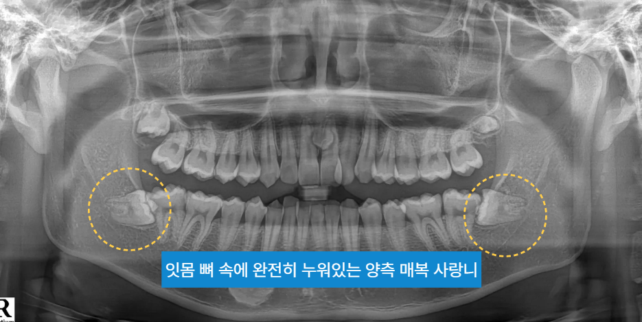 스크린샷 2026 09 29 041708
