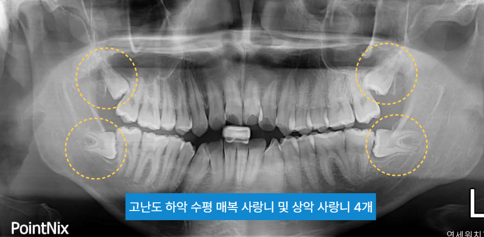 스크린샷 2026 09 29 042634